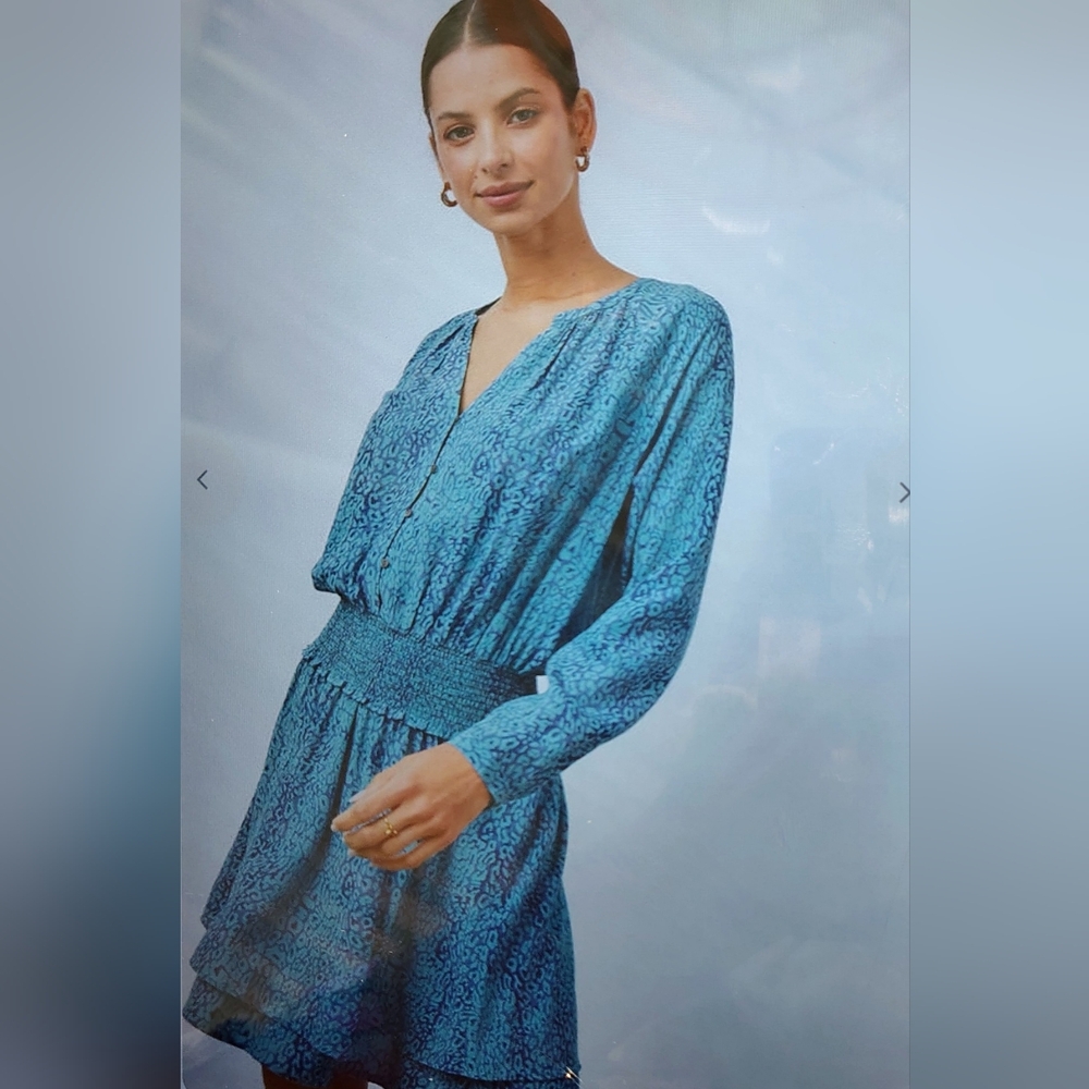 Rails Jasmine Jewel Cheetah Dress Smocked Blouson Tiered Blue Women's Sz S